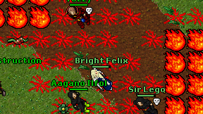 Bright Felix on screen