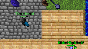 Ton druid on screen