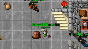 Royal Minerim on screen