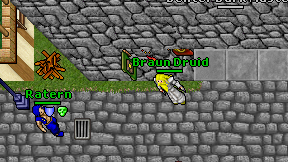 Braun Druid on screen