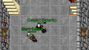 Knight Olserim on screen