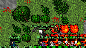 Honey-Bear on screen