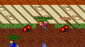 Lutivena on screen