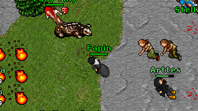 Fapin on screen