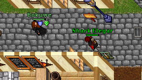 Shark Elegar on screen
