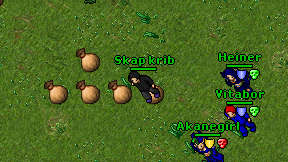 Skap krib on screen