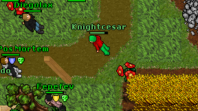 Knightcesar on screen