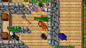 Synshort on screen