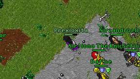 Prexioxita on screen