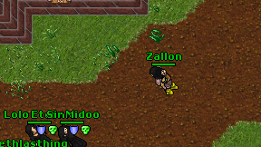 Zallon on screen