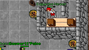 Capacho Never on screen