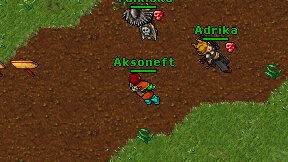 Aksoneft on screen