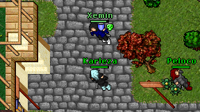 Karleza on screen