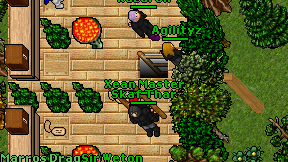Xean Master on screen