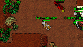 Farenhight on screen