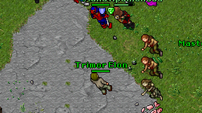Trimor Elon on screen