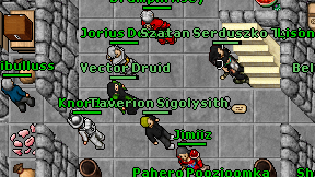Vector Druid on screen
