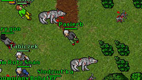 Pasierb on screen