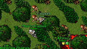 Cousel on screen