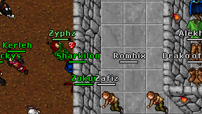Romhix on screen