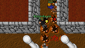Kinodayn on screen
