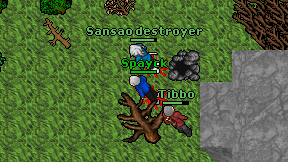 Sansao destroyer on screen