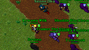 Senne Oko on screen