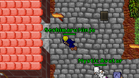 Seshimaru Ninja on screen