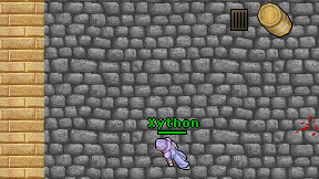 Xython on screen