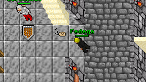 Fedega on screen