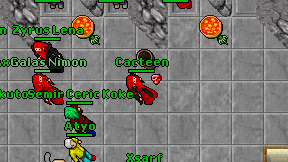 Cacteen on screen