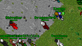 Dragonfire on screen