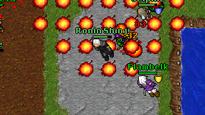 Ronin Shinji on screen