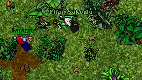 Chair Sakorla on screen