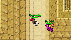 Sayeda on screen