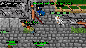 Chaouleon on screen