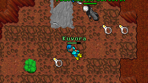 Kuvora on screen
