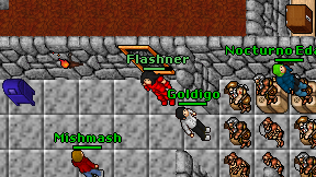 Flashner on screen