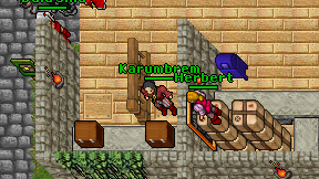 Karumbrem on screen