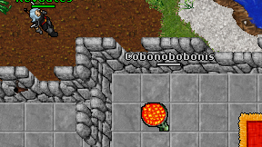 Cobonobobonis on screen