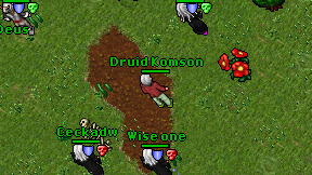 Druid Komson on screen