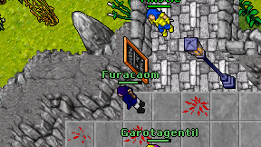 Furacaom on screen