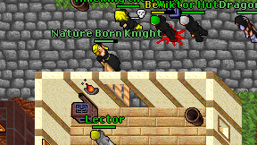 Nature Born Knight on screen