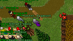 Master-Zygmunt on screen