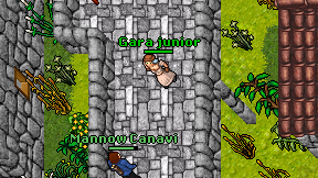 Gara junior on screen