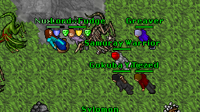 Samuray Warrior on screen