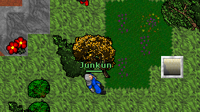 Junkun on screen