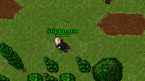 Slipknahx on screen