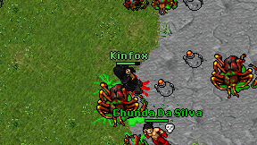 Kinfox on screen