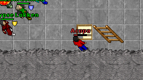 Acopa on screen